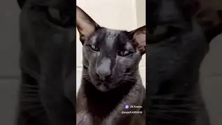 Не злитесь, это портит кожу😆