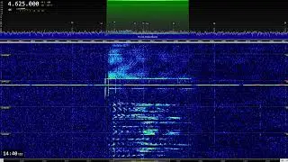 The Buzzer Message 19th Nov 2023 1339UTC
