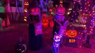 Mr and Mrs Pumpkin Head
