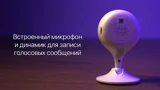 Ivideon Cute 2