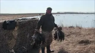 Охота на гуся 2018 + бонус!