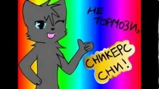 Коты воители Битва За Лес Прикол