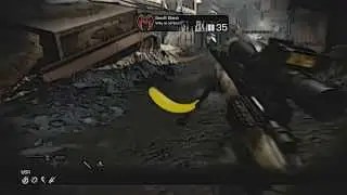Bananas