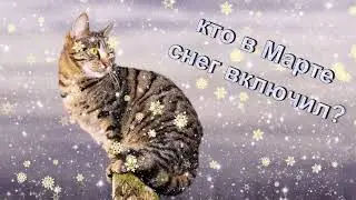 Снег 19 марта 2023