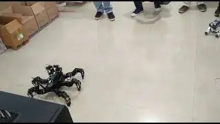 Kids Love Robotics