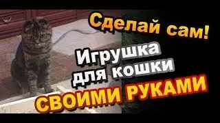 How to Make Toys for Cats