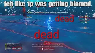 Player's Conflict Over Character And Teamwork - Genshin Coop