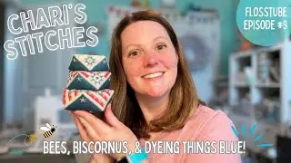 FLOSSTUBE 9 - Chari's Stitches - Bees, Biscornus, & Dyeing Things Blue!