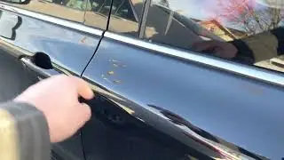 2018 Toyota Camry for Terry