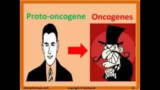 Oncogenes & Tumor Suppressor Genes Bax P53 MYC Bcl-2 BRCA Trastuzumab Rb