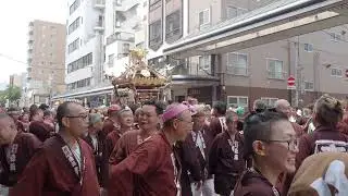 深川神明宮　例大祭　勇壮な水掛け祭　町神輿連合渡御（勢揃い）　2024/08/18  c19