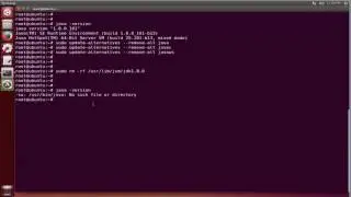 How to completely uninstall Java on ubuntu