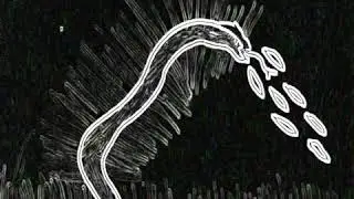 Glasgow Mega Snake (Covered)