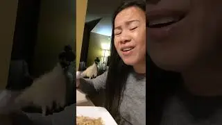 My Pancit Guisado with Canton