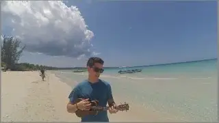 We don´t believe what´s on T V -  Ukulele Cover - Twenty One Pilots