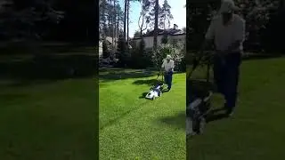 Уход за газоном