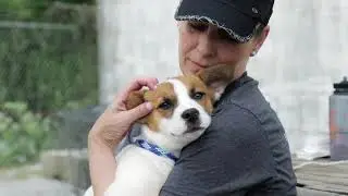 This is Safe Hands Rescue by Tiffany Thompson
