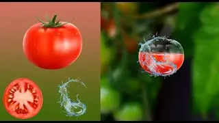 Transparent Effect in Photoshop | Transparent tamatar Manipulation #photoshop #transparent #effect