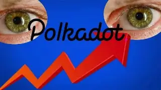 Polkadot cryptocurrency