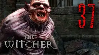 ГОВОРЯЩИЙ ГУЛЬ | Ведьмак 1 | The Witcher 1 #37