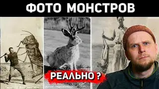 MONSTER PHOTOS! TRUE OR NOT?
