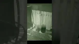 Монстр. Оборотень или Рэйк.