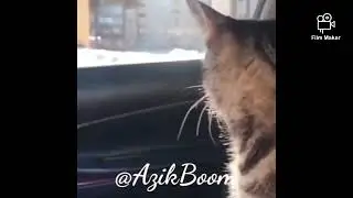 azikboom tv va najimdan yangisi 😂😂