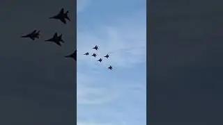 #стрижи в небе ✈️🌤️🌏 #полёт / #swifts in the sky ✈️🌤️🌏 #flight