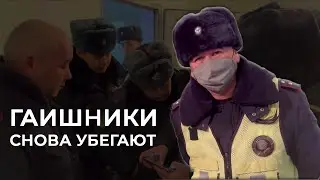 МИЛИЦИЯ СНОВА УБЕГАЕТ ОТ SAFARI. СТАРЫЕ ПРИЕМЫ НОВОГО УПСМ