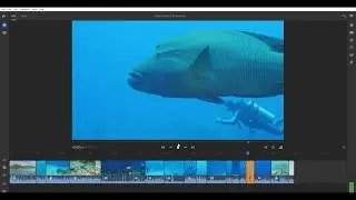 Video Post-Production for Beginners: Basic Editing (3/5)