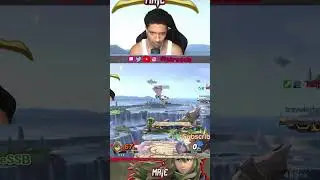 ABSOLUTE DESTRUCTION EVERY SINGLE STOCK