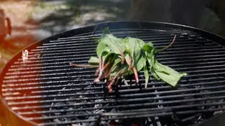Food Cinematographer Demo Reel