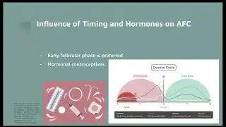 Counting Ovarian Antral Follicles with Ultrasound