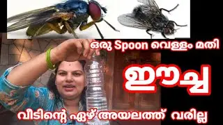 how to get rid of house flies naturally .ഈച്ചയെ വീട്ടിൽ നിന്ന് അകറ്റാം