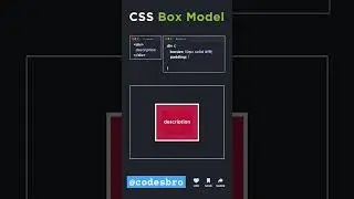css box model explanation #css #csstips #cssboxmodel #csstutorial