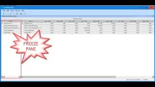 Epicor ERP Freeze Pane on Dashboard