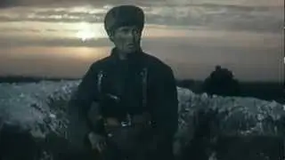 Высоцкий - Аисты