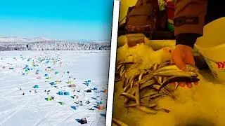 Первая корюшка в 2023 Изменчивое / Рыбалка Сахалин 2023