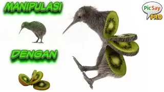 Tutorial Manipulasi Foto Hewan Dengan Buah (Picsay Pro)