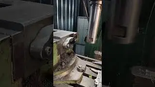 MrAnatol Rascu Работает балеринка.Красота балетная