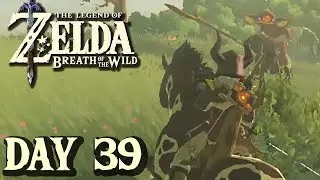 Riding Into Battle - Breath of the Wild | DAY 39