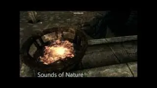 Skyrim Mod: Sounds of Nature, Sounds of Skyrim, Improved Combat Sounds, and Immersive Skyrim Thunder