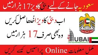 How To Apply Uae Visit Visa Online From Pakistan or India 2021 - Uae Visa For Pakistanis & Indians