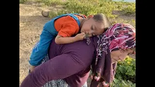 Geleneksel Yöntem Üzüm Pekmezi Nasıl Yapılıyor ?