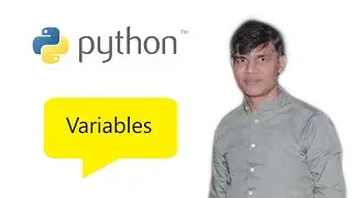 2. Python Basics | Variables in Python