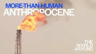 The More than Human Anthropocene |  Feral Atlas at The World Around