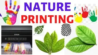 Printing|| Nature Printing|| Primary Art Lesson