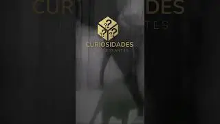 A polêmica busca pela ressurreição do tigre da Tasmânia extinto há 100 anos #shorts