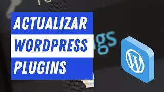 CÓMO ACTUALIZAR WORDPRESS Y SUS PLUGINS, TODOS LOS MÉTODOS QUE EXISTEN