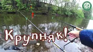 КРУПНЫЙ КАРАСЬ НА САЛО С ЧЕСНОКОМ И НА ЧЕРВЯ, РЫБАЛКА НА ДОНКУ И ПОПЛАВОЧКУ В ДОЖДЬ, ЛОВИМ НА УРАЛЕ!